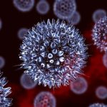 সমকামিতা বৈধ, কিন্তু বিজ্ঞান কি বলছে!