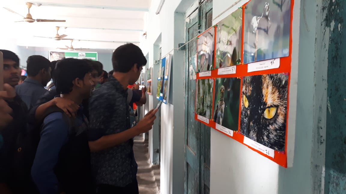 ওয়াইল্ড লাইফ ফটোগ্রাফি এক্সিবিসন কাম সেল অনুষ্ঠিত হল বহরমপুর কালেক্টরি ক্লাব হলে