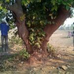 ঝাড়খন্ডের মোব-লিঞ্চিংয়ে অভিযুক্ত গো- রক্ষক বাহিনির ৮ জনের যাবজ্জীবন কারাদন্ড