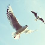 কবিতাঃ আই মোরা মিশে যায়