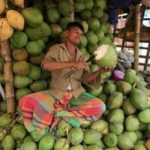 দাম চড়া হলেও তৃষ্ণা মেটাতে ডাবের জলের জুড়ি মেলা ভার