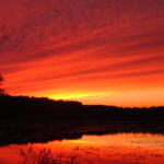 কবিতাঃ কিছু চাওয়া