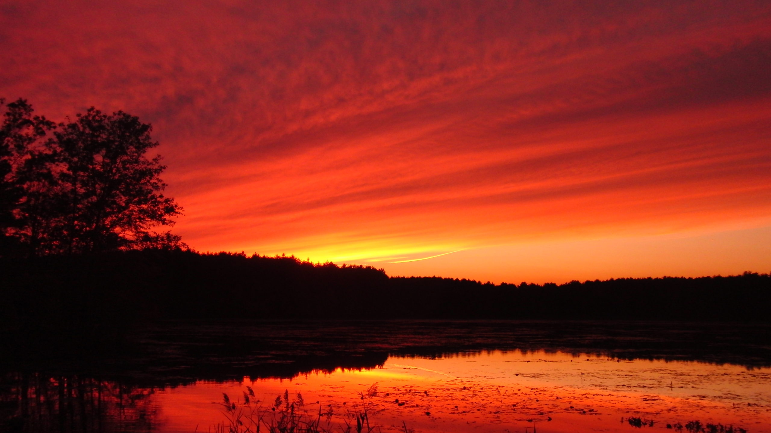 কবিতাঃ কিছু চাওয়া
