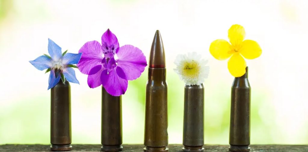 কবিতাঃ নাতিক্ষুদ্র পাতার গাছ