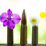 কবিতাঃ নাতিক্ষুদ্র পাতার গাছ